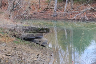 Welcome to this remarkable 275 +/- acre farm offering a rare - photo 44