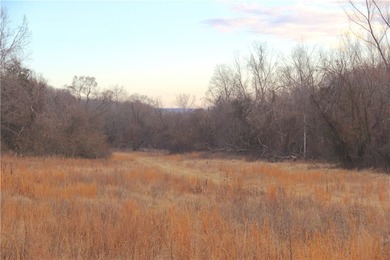 Welcome to this remarkable 275 +/- acre farm offering a rare - photo 49