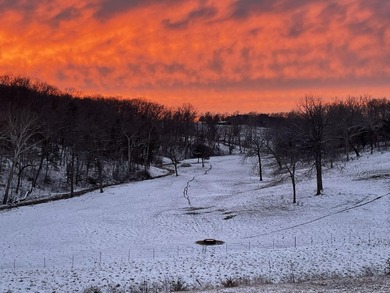 PRICE ENHANCEMENT! These beautiful, mostly unrestricted 121 - photo 12