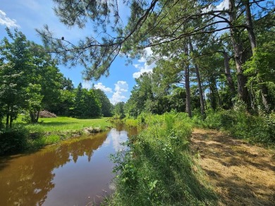 (private lake, pond, creek) Lot For Sale in Carriere Mississippi