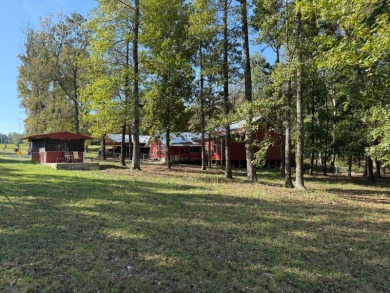Lake Home For Sale in Cave City, Arkansas