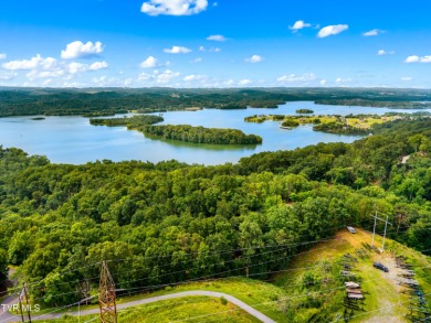 (private lake, pond, creek) Acreage For Sale in Mooresburg Tennessee