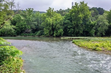 RETREAT ON THE CADDO RIVER!! 24 acres+/- CADDO RIVER property - photo 13