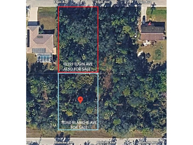 Port Charlotte Waterway Area Lot For Sale in Port Charlotte Florida