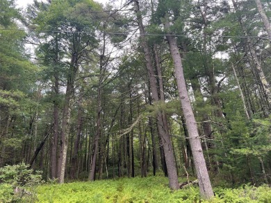 Toronto Reservoir Acreage Sale Pending in Narrowsburg New York