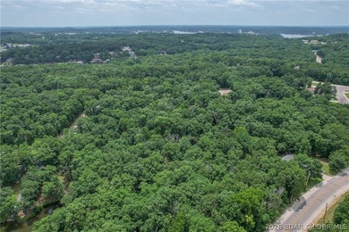 1.62-acre wooded lot in the sought-after Four Seasons community - photo 23