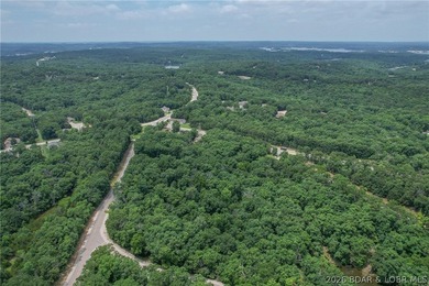 1.62-acre wooded lot in the sought-after Four Seasons community - photo 27