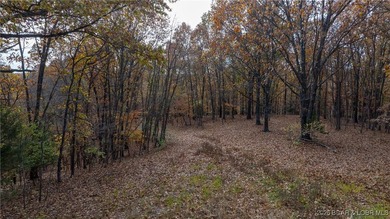 Interested in having BOTH acreage AND lake? This property - photo 4