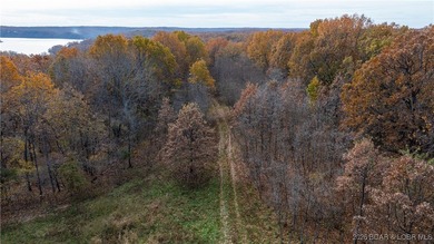Interested in having BOTH acreage AND lake? This property - photo 5
