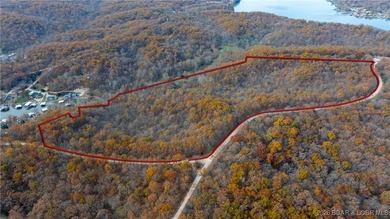 Interested in having BOTH acreage AND lake? This property - photo 7
