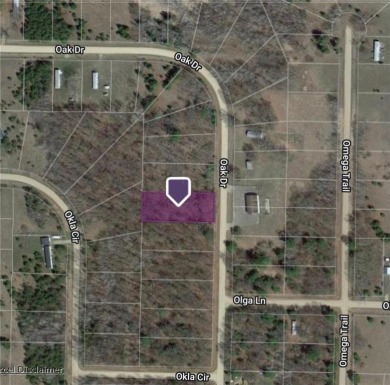 (private lake, pond, creek) Lot For Sale in Moran Twp Minnesota