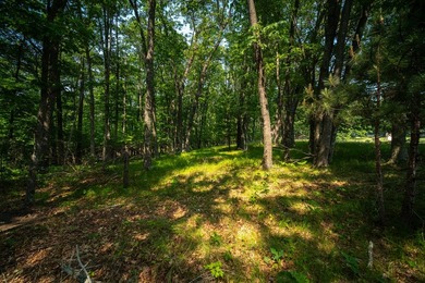 An exceptionally beautiful 1.25 acre building site that includes - photo 21