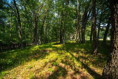An exceptionally beautiful 1.25 acre building site that includes - photo 22