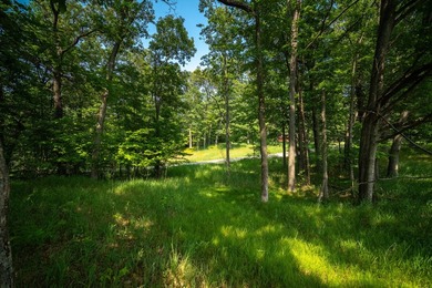 An exceptionally beautiful 1.25 acre building site that includes - photo 25