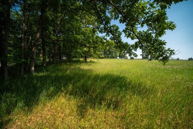 An exceptionally beautiful 1.25 acre building site that includes - photo 26