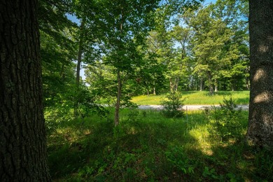 An exceptionally beautiful 1.25 acre building site that includes - photo 27