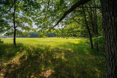 An exceptionally beautiful 1.25 acre building site that includes - photo 28