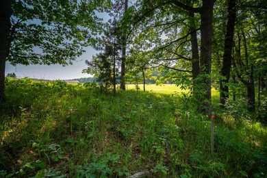 An exceptionally beautiful 1.25 acre building site that includes - photo 29