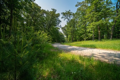 An exceptionally beautiful 1.25 acre building site that includes - photo 30