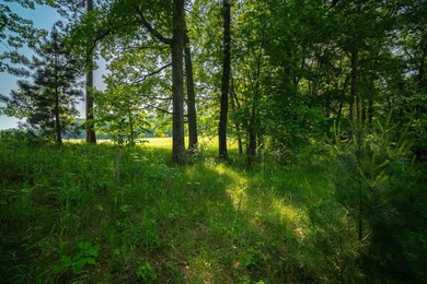 An exceptionally beautiful 1.25 acre building site that includes - photo 31