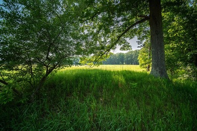 An exceptionally beautiful 1.25 acre building site that includes - photo 32