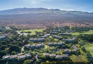 Relax and Enjoy Ultimate Privacy! Enter your new Wailea place of - photo 32