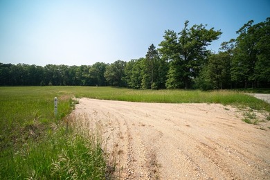 An exceptionally beautiful 1.25 acre building site that includes - photo 35