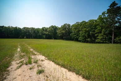An exceptionally beautiful 1.25 acre building site that includes - photo 36