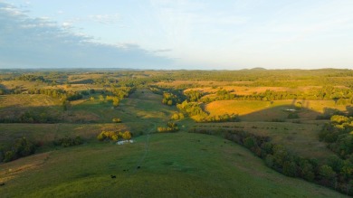 Lake Acreage For Sale in Gainesville, Missouri