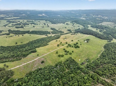 The Pocket Hollow Ranch is a large, contiguous acreage situated - photo 5