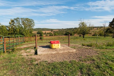 The Pocket Hollow Ranch is a large, contiguous acreage situated - photo 6