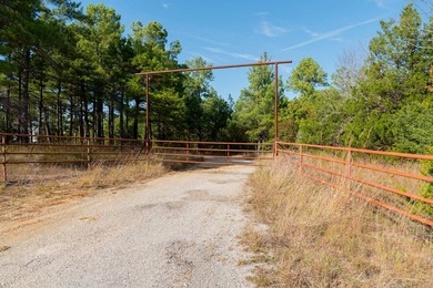 The Pocket Hollow Ranch is a large, contiguous acreage situated - photo 7