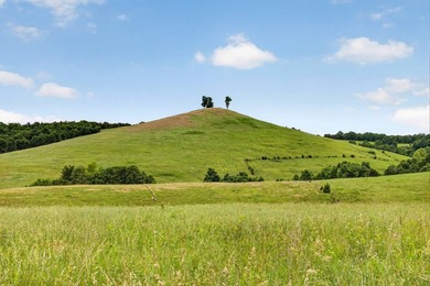 The Pocket Hollow Ranch is a large, contiguous acreage situated - photo 8