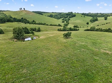 The Pocket Hollow Ranch is a large, contiguous acreage situated - photo 9