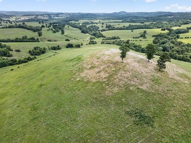 The Pocket Hollow Ranch is a large, contiguous acreage situated - photo 10