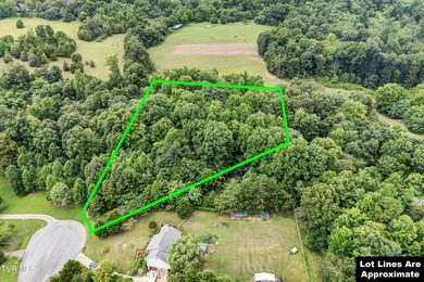 Holston River - Hawkins County Lot Sale Pending in Rogersville Tennessee