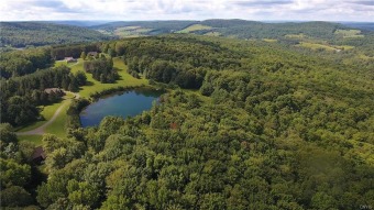(private lake, pond, creek) Lot For Sale in Hartwick New York