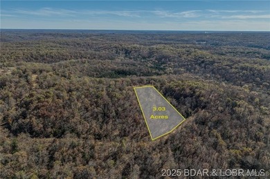Forest Trails Rd lot: 10 - photo 2
