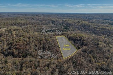 Forest Trails Rd lot: 10 - photo 4