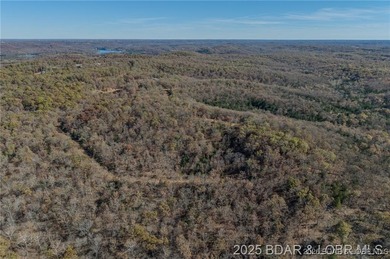 Forest Trails Rd lot: 10 - photo 5