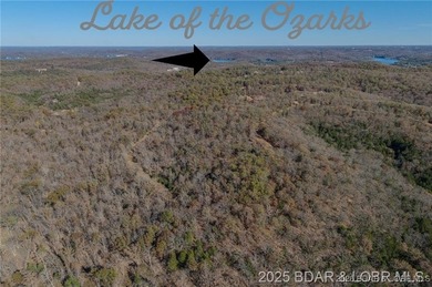 Forest Trails Rd lot: 10 - photo 6