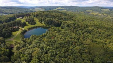 Lake Commercial For Sale in Hartwick, New York