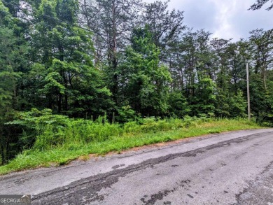 Lake Lot For Sale in Turtletown, Tennessee