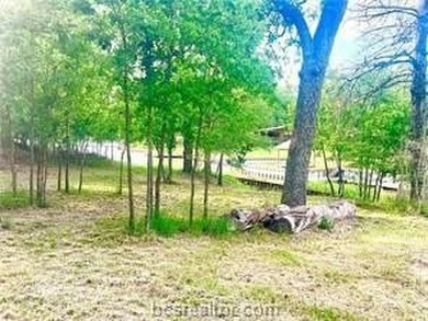 Waterfront Cabin with Electric, Water and Aerobic Septic in a - photo 11
