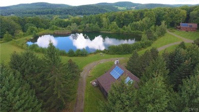 Lake Home For Sale in Hartwick, New York