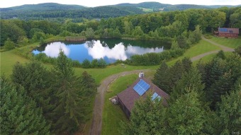 (private lake, pond, creek) Home For Sale in Hartwick New York