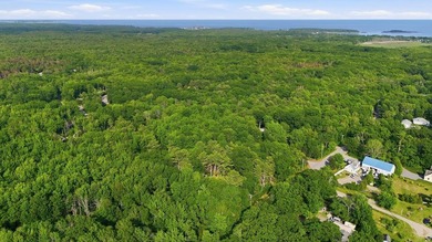 This approximately 2.5-acre lot offers a lush and tranquil - photo 12