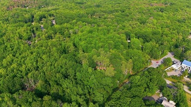 This approximately 2.5-acre lot offers a lush and tranquil - photo 13