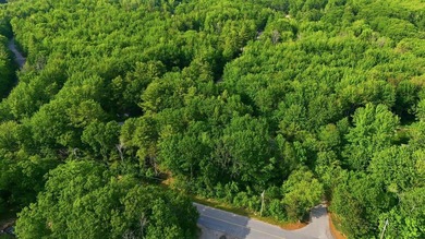 This approximately 2.5-acre lot offers a lush and tranquil - photo 16