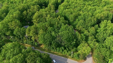 This approximately 2.5-acre lot offers a lush and tranquil - photo 17
